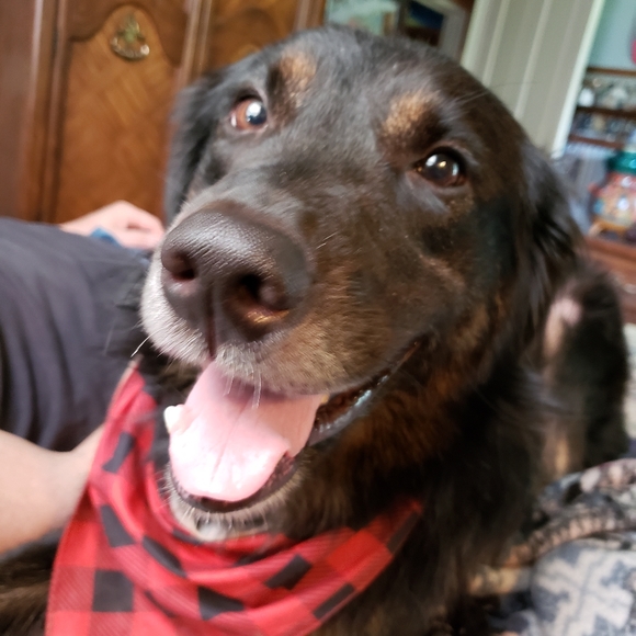 Meet your Posher, Robin - Picture 10 of 10